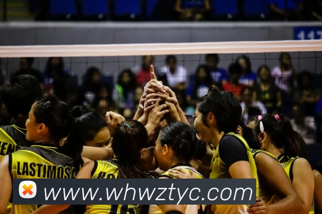 太阳城网站平台生态图